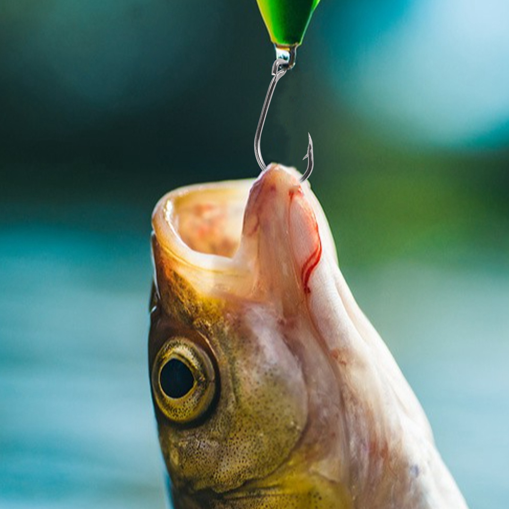 Nieuwe aanwinst 500 stuks/set  - Fishing Hook Box recensie en prijs