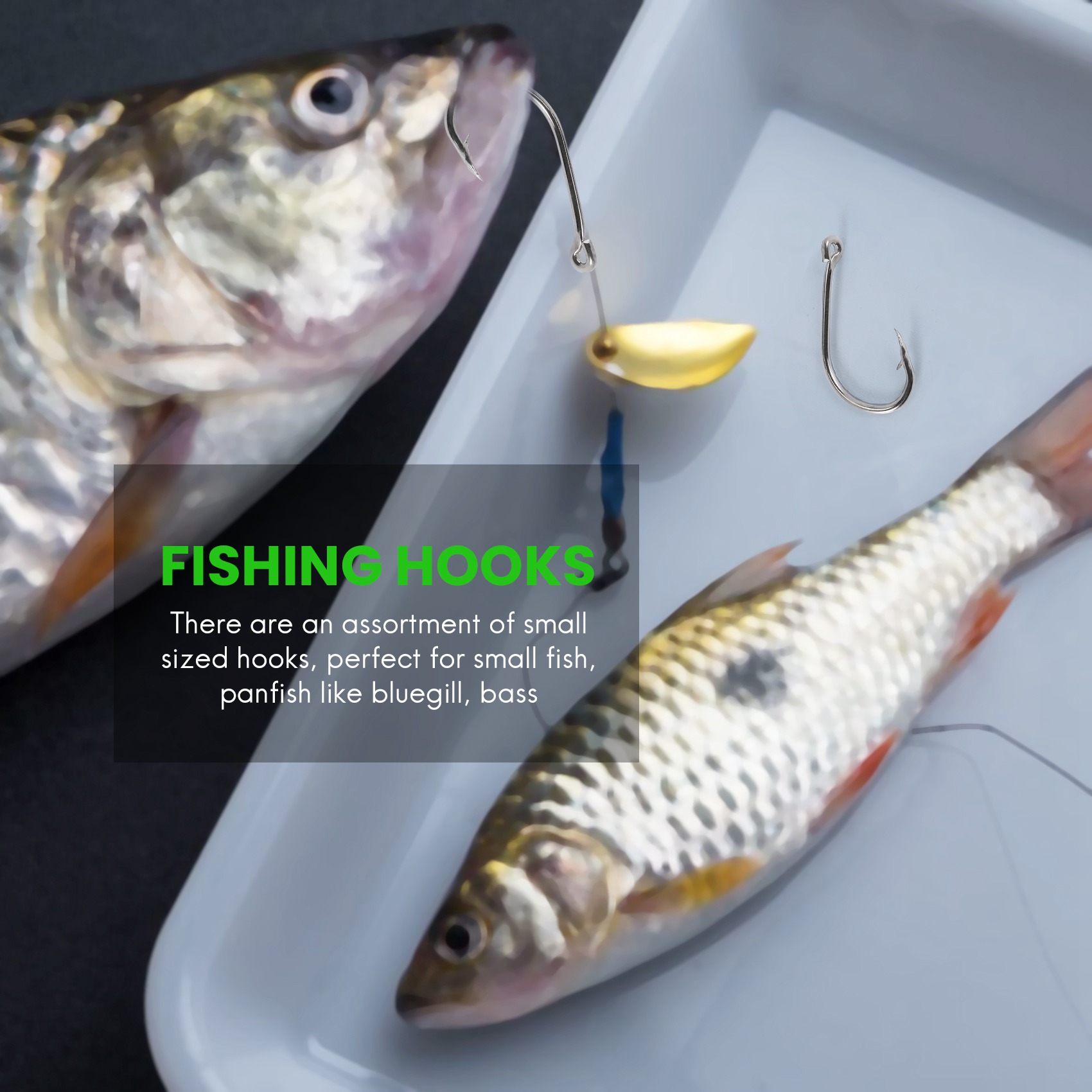 Nieuwe aanwinst 500 stuks/set  - Fishing Hook Box recensie en prijs